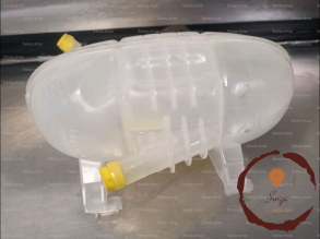 Vase expansion - RENAULT