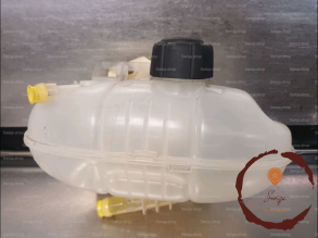 Vase expansion - RENAULT