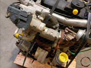 Moteur diesel - RENAULT - 101001030819