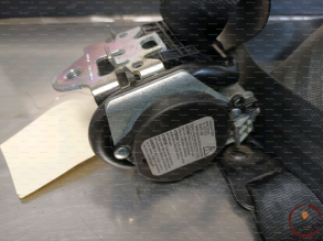 Ceinture AVG - FORD - 1691461
