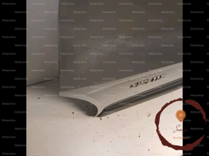 Porte AVG - NISSAN - 8010100Q0C