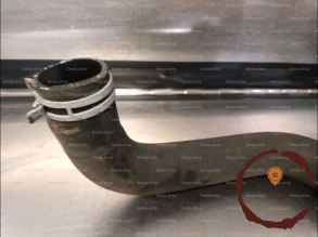 Durit inferieure radiateur - RENAULT
