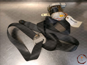 Ceinture AVD - SUZUKI - 8490162J03ED3