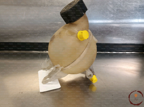 Vase expansion - PEUGEOT - 19211038631