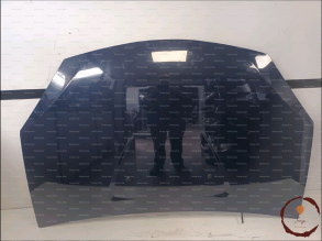 Capot - DACIA - 6001551793