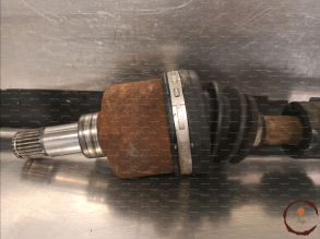 Transmission AVG - FORD - 1822711