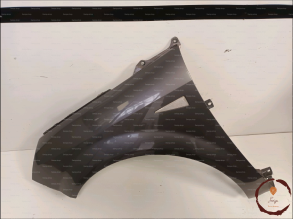 Aile AVG - RENAULT - 8200020568