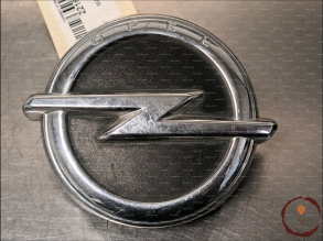 Poignee ext hayon - OPEL - 39007842